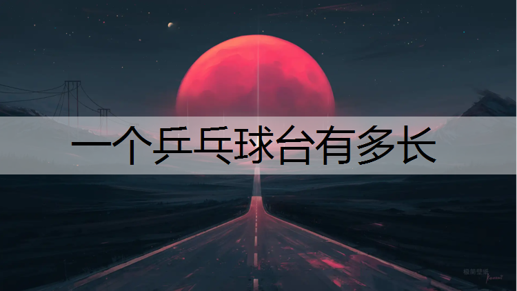 一个乒乓球台有多长